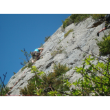 photo miniature